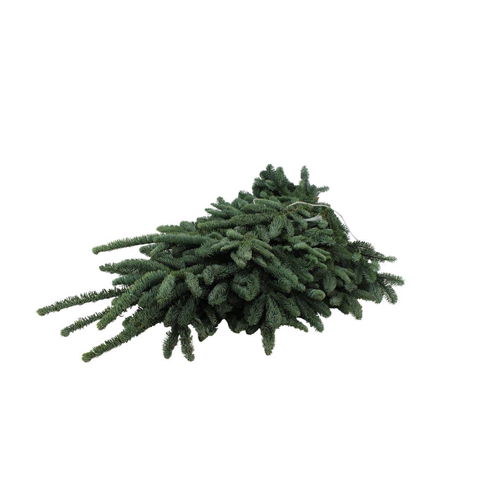 <h4>Nobilis Witband Extra X110</h4>