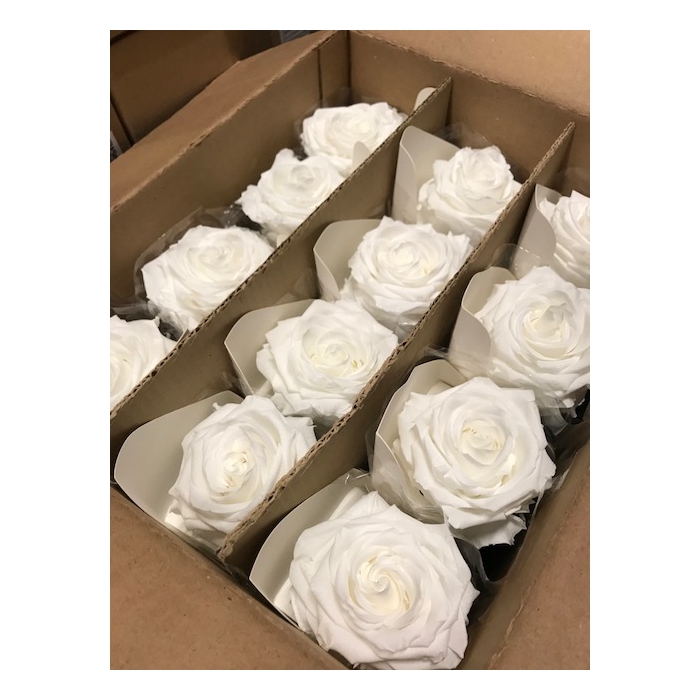 <h4>Rose on stem xl bulk 55cm white</h4>