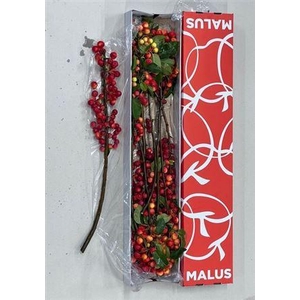 Malus Red Sentinel
