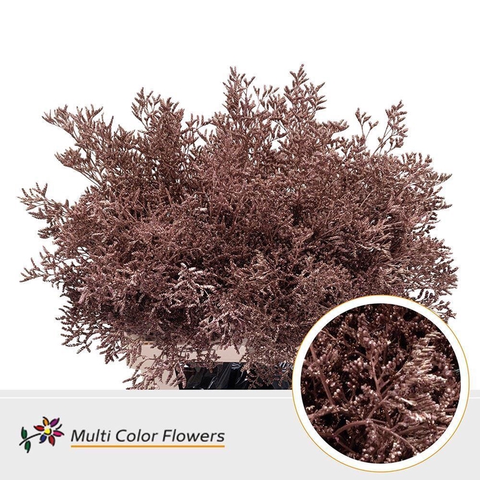 <h4>Limonium DYED Rose Gold</h4>