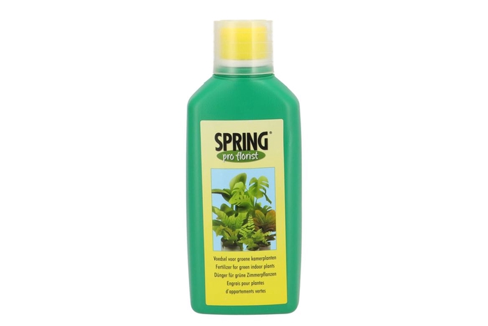 <h4>Floristry Spring Nutrition Green Plant 500ml P/8</h4>