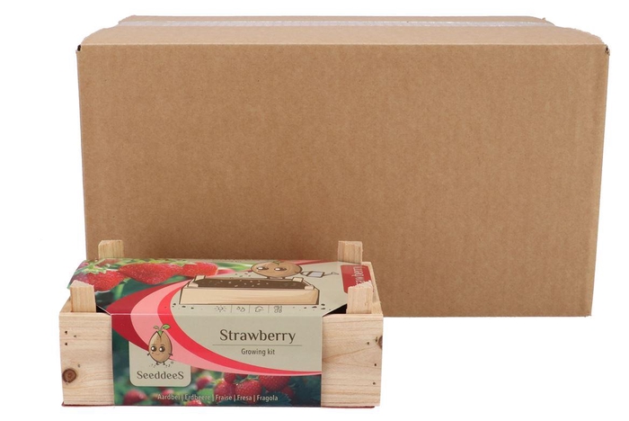 <h4>Greengift Strawberry Box 14x31x8cm</h4>