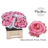 R KL PINK MANSFI PARK