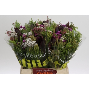 BQ Wild Flower
