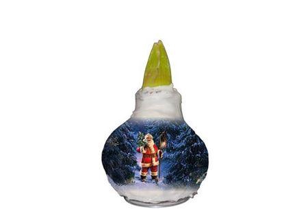 <h4>Hipp Wax Christmas</h4>