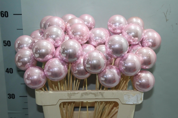 <h4>KERSTBAL OP STOK H%</h4>