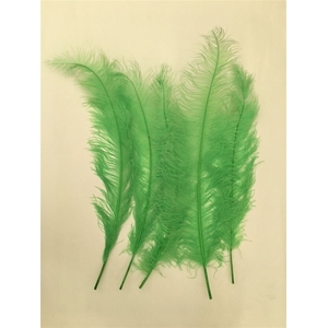 Feather Ostrich Feathers 55cm 5 Pcs Lime Green