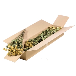 Roses Spray Sb Natural White