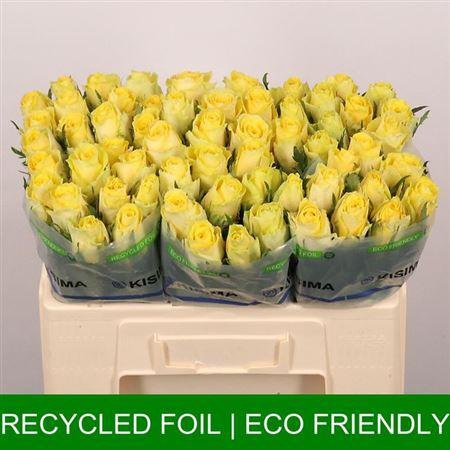 <h4>R Gr Good Times</h4>