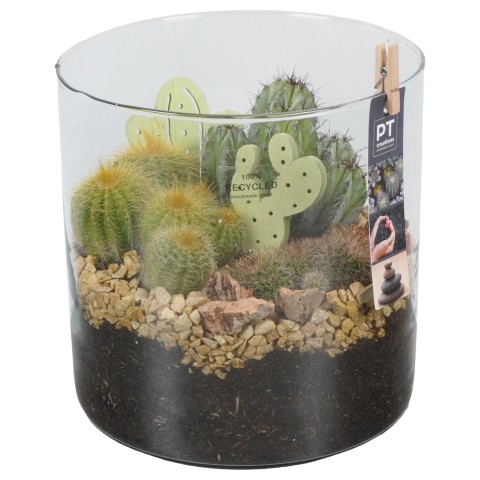 <h4>PTCT3816 Arrangementen Cactus</h4>