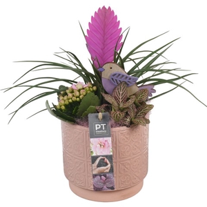 PTIB6335 Arrangement Indoor in keramiek pot