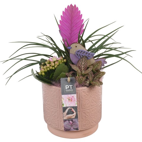 <h4>PTIB6335 Arrangement Indoor in keramiek pot</h4>