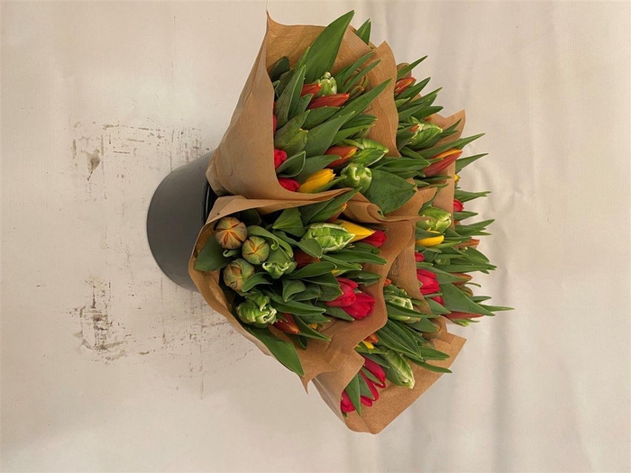 <h4>Tu Overig Assortie</h4>