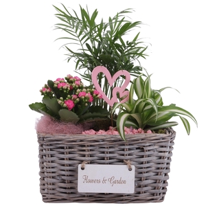Mothersday Arr. Indoor Willow Basket Flowersign Ø25cm 3PP