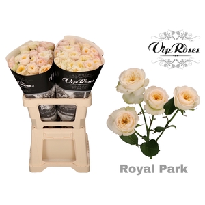 R TR ROYAL PARK