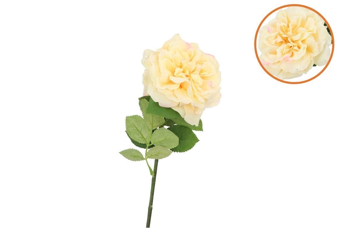 <h4>Silk Wild Rose Yellow Single 65cm</h4>