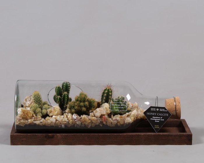 <h4>Green Bottle Fles Medium liggend met Cactussen</h4>
