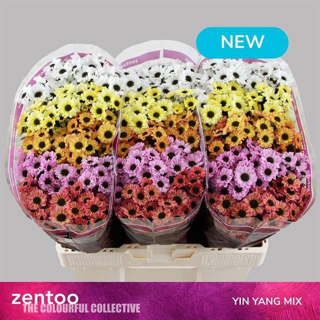 <h4>CHR SAN GEMENGD PASTEL MIX</h4>