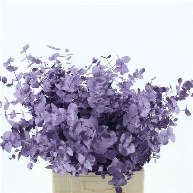 <h4>EUC CIN KLB P BOS H%</h4>