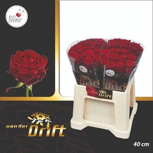 R GR RED NAOMI! 40cm A2