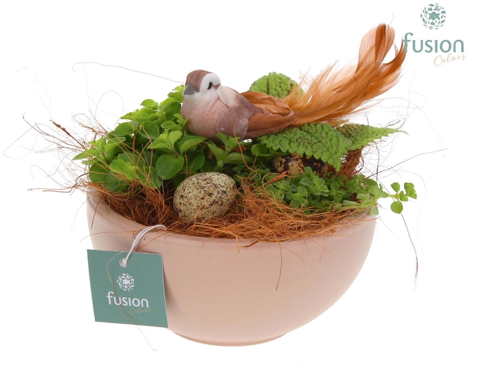 <h4>Schaal keramiek Moon Small blush pink Pasen met Arrangement</h4>