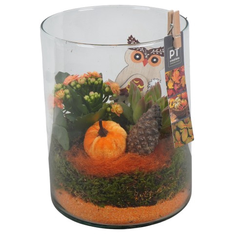 <h4>PTHG3371 Arrangementen kamerplanten</h4>