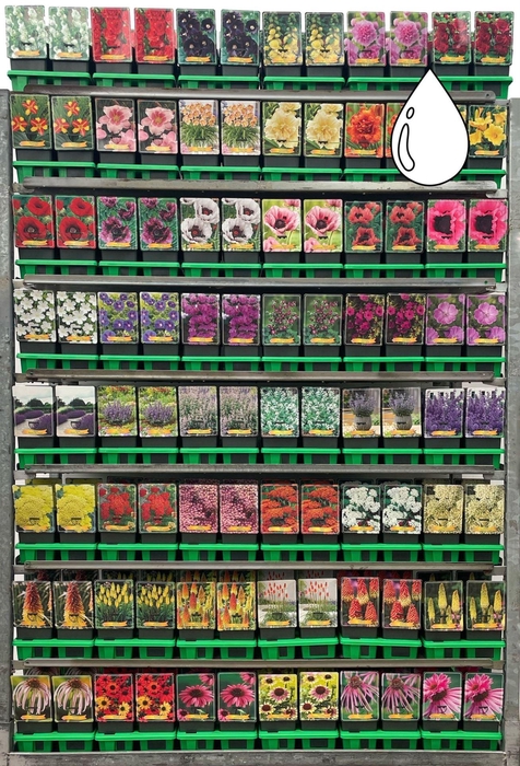 <h4>Vaste planten mixkar</h4>