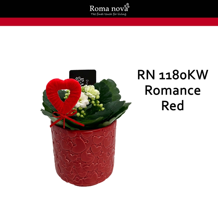 <h4>Kalan Rom 1180KW Romance Red</h4>