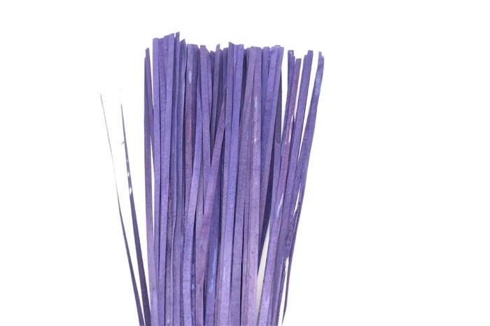 Woodstrip 100 Pcs L110W1