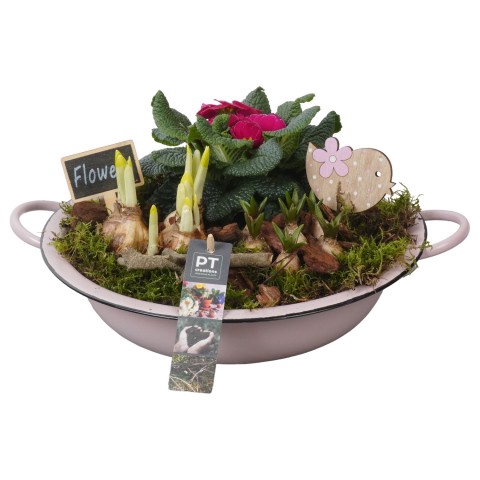 <h4>PTBM3009 Arrangementen Tuinplanten</h4>