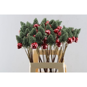 Droog Kerstboom Met Paddestoel
