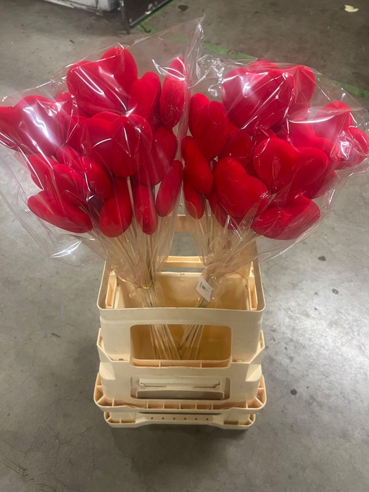 <h4>HARTJE OP STOK H%</h4>