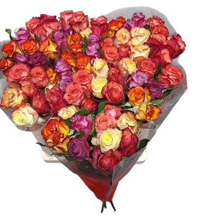 <h4>R Gr Rainbow Mix Xl</h4>