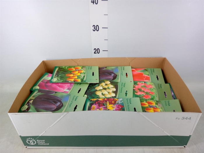 <h4>Flowerbulbs, corns or tubers   ...</h4>