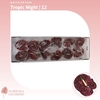 Anthurium Tropic Night