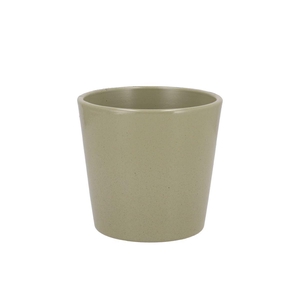 Ceramic Kiwi Stone Pot Orchid 14cm