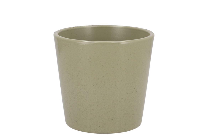 <h4>Ceramic Kiwi Stone Pot Orchid 14cm</h4>