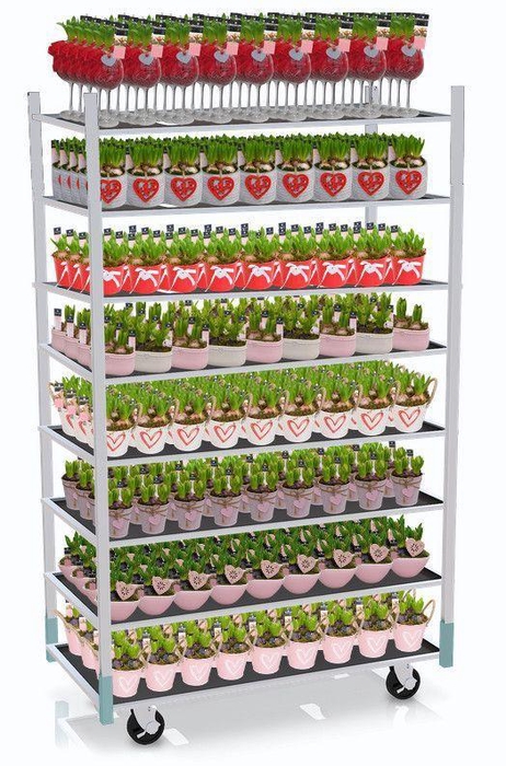 CC TENDER MAXI 2026 - 1 prijs per stuk, incl. fust