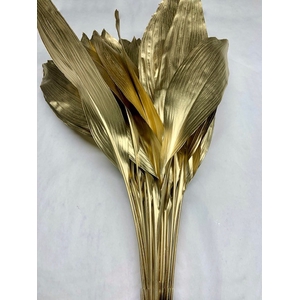 METAL ASPIDISTRA LEAVES GOLD EX