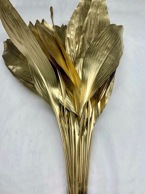 <h4>METAL ASPIDISTRA LEAVES GOLD EX</h4>