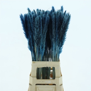 Dried Pampas Fluffy D.blue