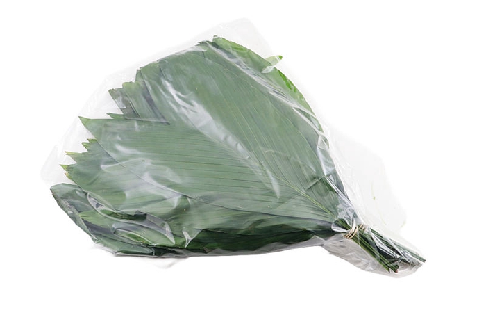 <h4>Cocos Large Vacuum X5</h4>