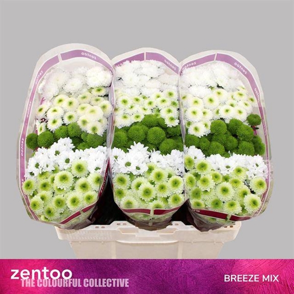 <h4>CHR SAN GEM ICE MIX</h4>