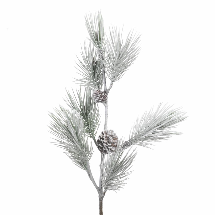 AF Pinus +Cones L122cm Snow