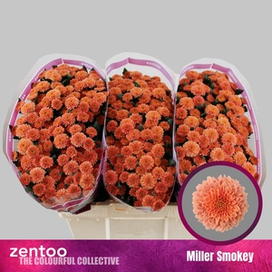 CHR S MILLER SMOKEY