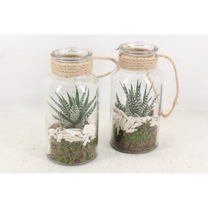 arr3 SN - Glas hang flesje 250/12