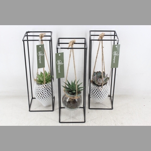 arr2 MB - Ijzer rek 1 bol