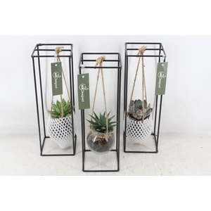 arr2 MB - Ijzer rek 1 bol