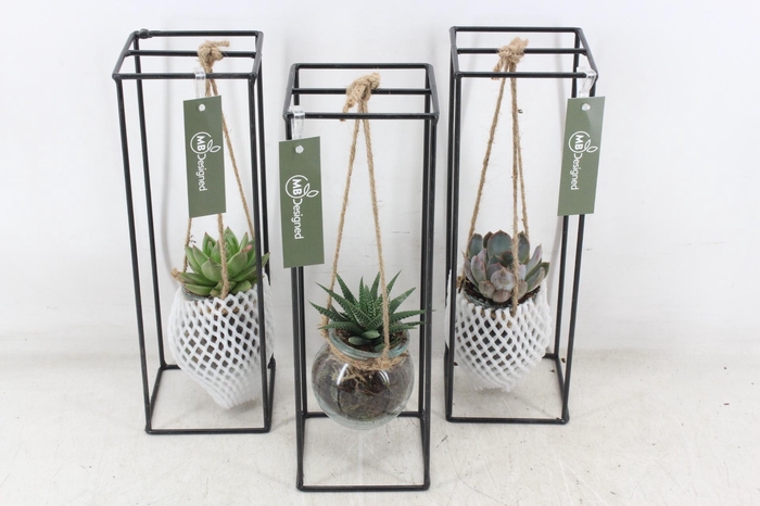 <h4>arr2 MB - Ijzer rek 1 bol</h4>