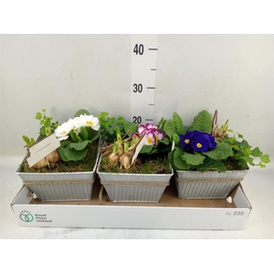 Arr.   Tuinplanten L%